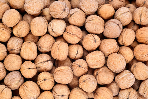 Walnoten in dop Chileense