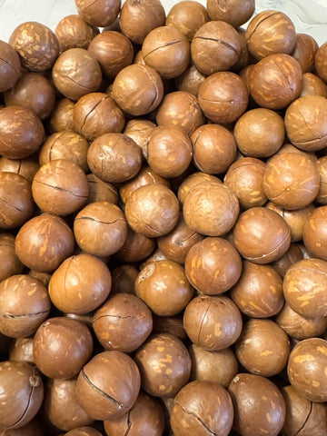 Macadamia in Dop