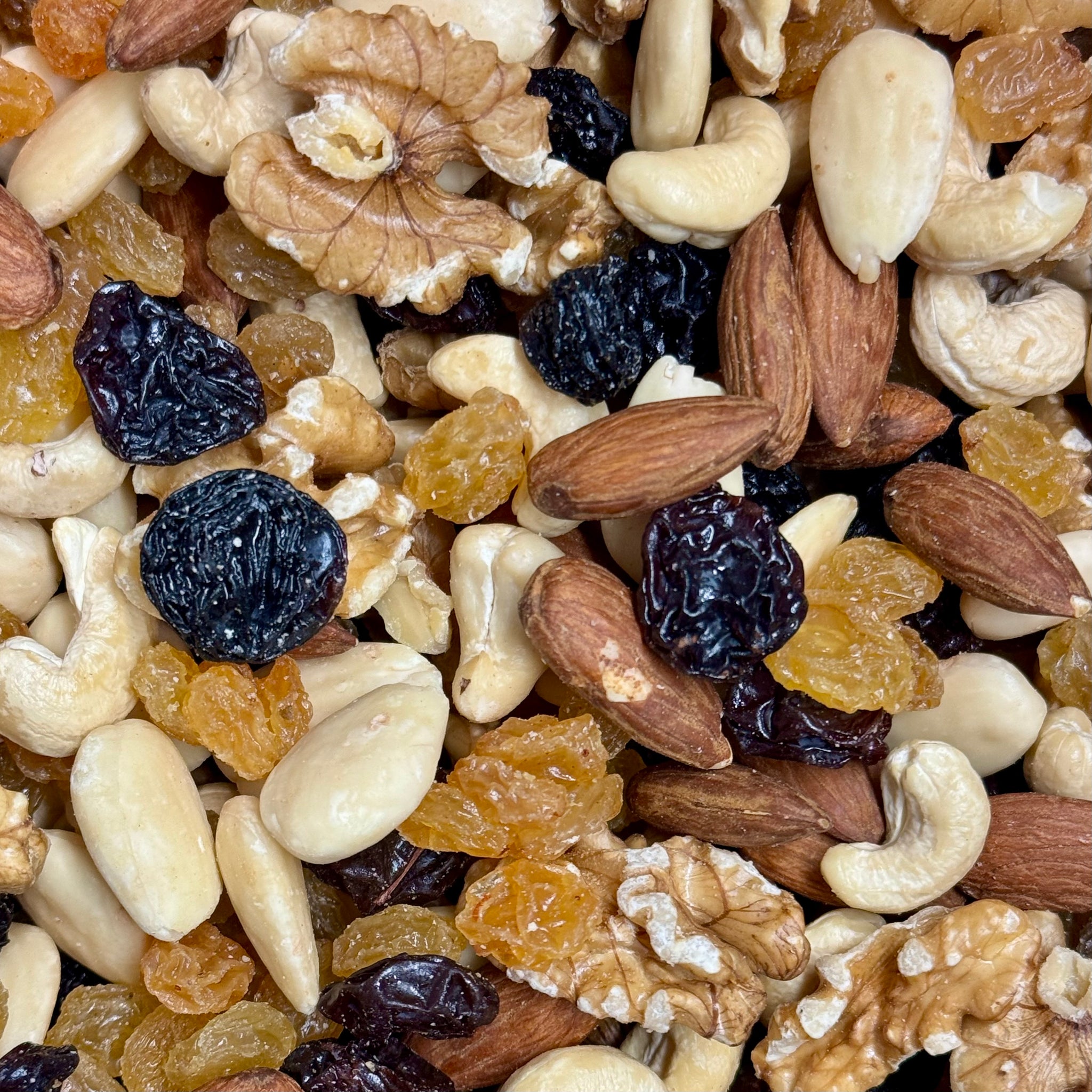 Studentenhaver Basic