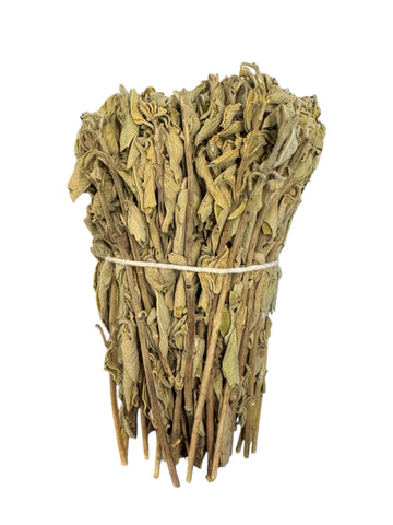 Ada çayı (Adaçayı yaprağı)