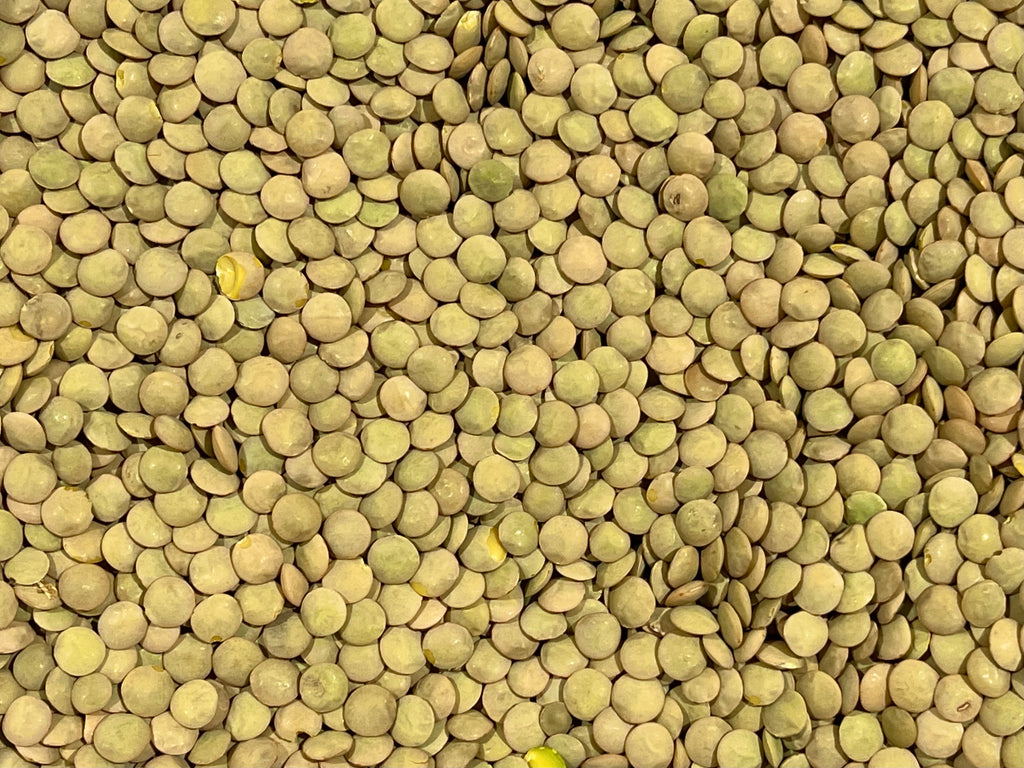 Green lentils large 7MM